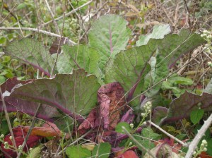 past to future maybe