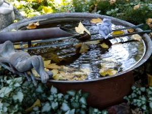 happy frog happy frog