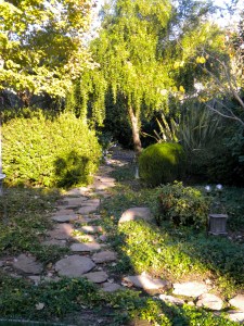 path autumn light path autumn light