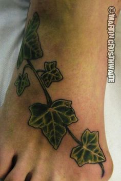 ivy foot