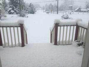 transforming landscape