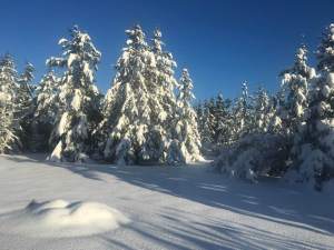 51818499_10157341370533949_8502569876253048832_n